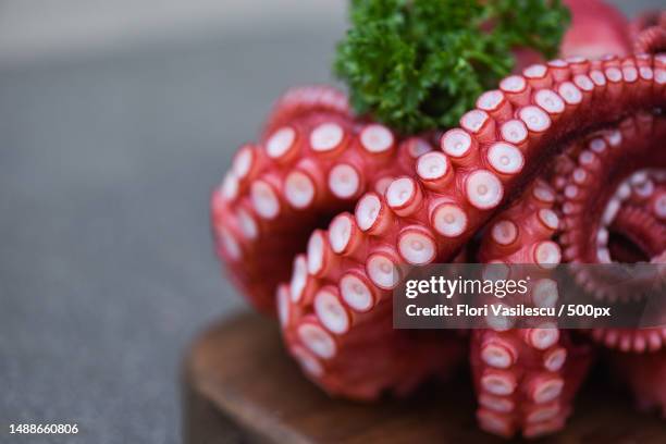 boiled octopus tentacles on wooden cutting board,octopus food cooked salad seafood squid cuttlefish dinner restaurant,romania - octopus stock pictures, royalty-free photos & images
