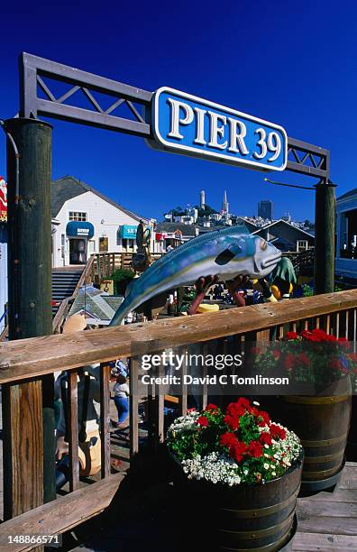 pier 39 in san francisco. - fishermans wharf stock pictures, royalty-free photos & images