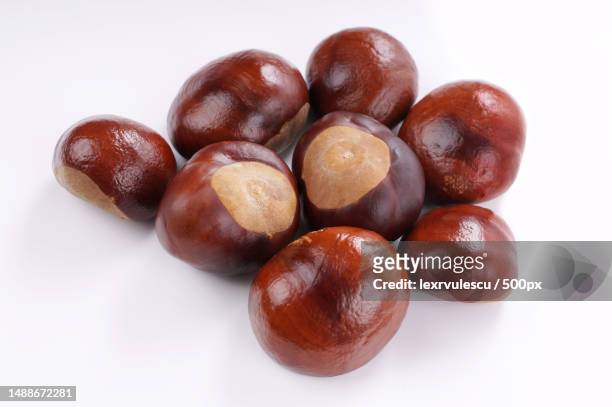 close-up of chestnuts over white background,romania - horse chestnut photos et images de collection