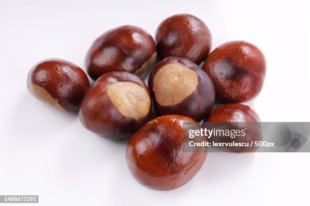 close-up of chestnuts over white background,romania - horse chestnut imagens e fotografias de stock