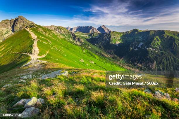 wonderful sunset in the tatra mountains in poland - tatra photos et images de collection