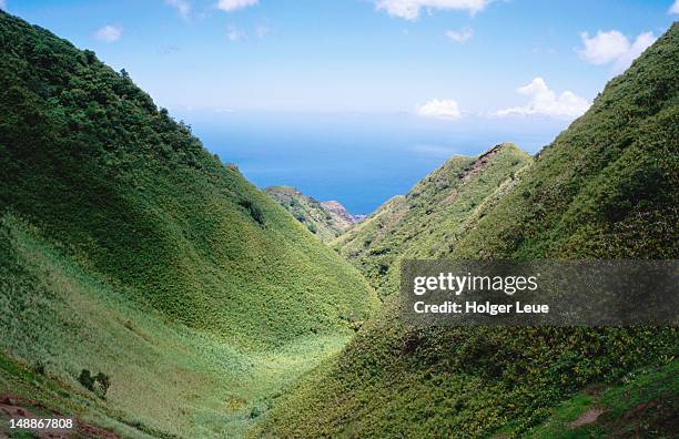 overhead of a lush valley from tekao pass. - polynesie photos et images de collection