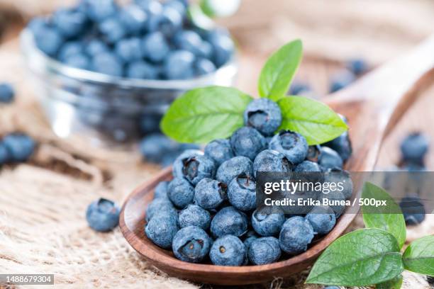 heap of fresh blueberries on a wooden spoon close-up shot,romania - bosbes stockfoto's en -beelden