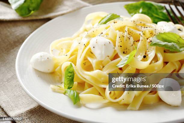 pasta with cheese and basil on a plate,food,romania - tagliatelle fotografías e imágenes de stock