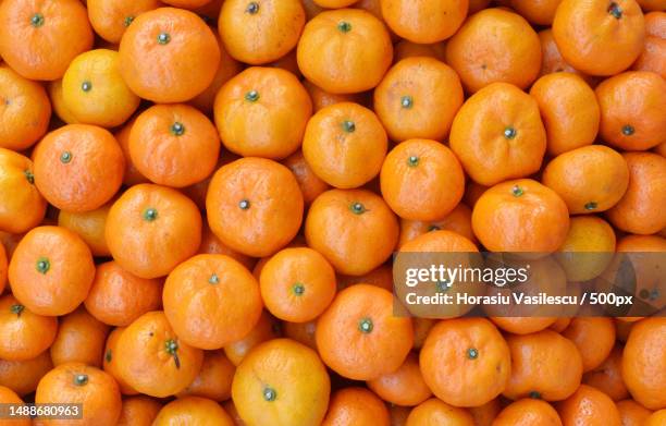 full frame shot of oranges for sale at market - tangerine stock pictures, royalty-free photos & images