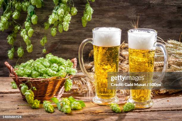 close-up of beer glasses on table - beer hops stock pictures, royalty-free photos & images