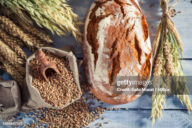 fresh loaf of bread for breakfast,romania - whole wheat stock pictures, royalty-free photos & images