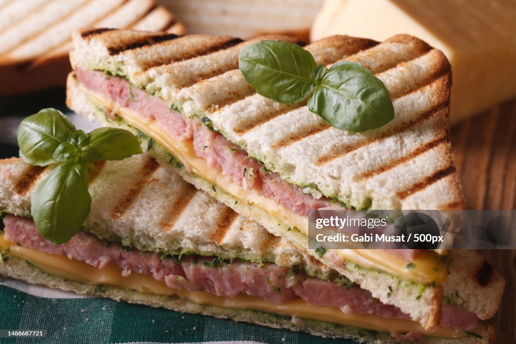 Grilled sandwich with ham,Cheese and basil close-up on the table horizontal