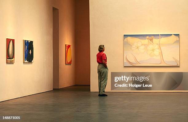 georgia o'keeffe museum. - santa fe stockfoto's en -beelden