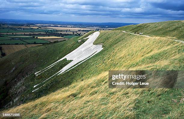 westbury white horse. - kreidefelsen stock-fotos und bilder