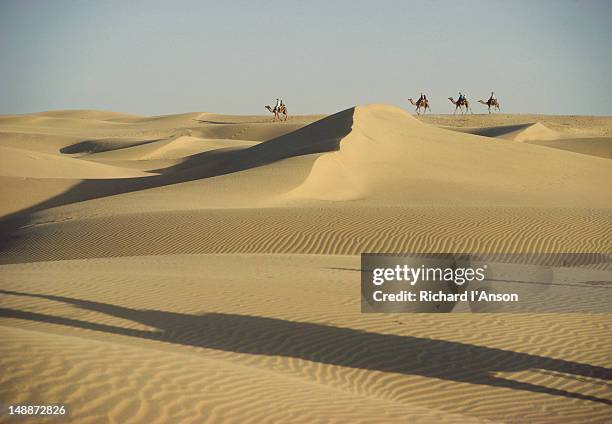 tourists riding camels in great thar desert. - camel ride stock pictures, royalty-free photos & images