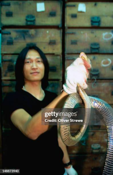 Snake. Shop 66 Cobra Snake Shop Stock Photos, High-Res Pictures, and Images - Getty ...