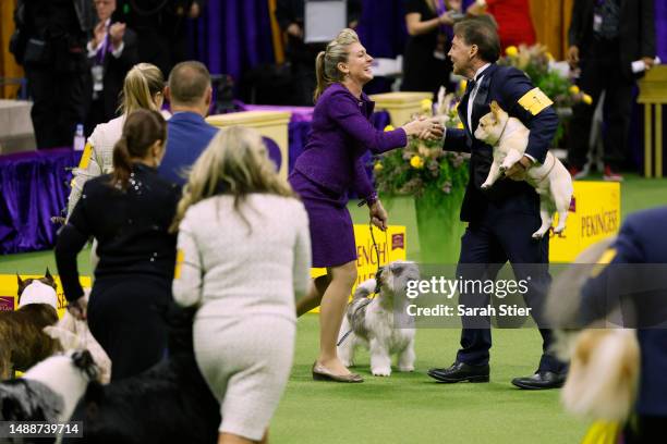Janice Hayes and Buddy Holly, the Petit Basset Griffon Vendeen, winner of the Hound Group, wins Best in Show at the 147th Annual Westminster Kennel...
