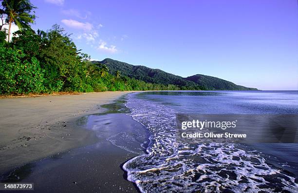 where the daintree national park meets the ocean, cape york peninsula - cape york stock pictures, royalty-free photos & images