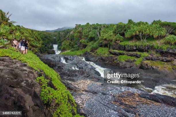 ʻoheʻo gulch and the palikea stream at the haleakalā national park - big island volcano national park stock-fotos und bilder