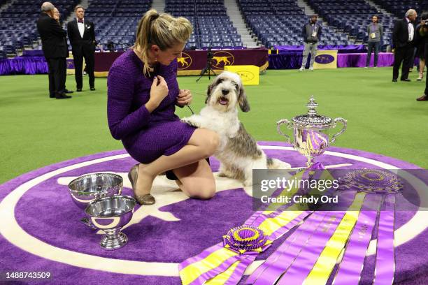 Janice Hayes and Buddy Holly, the Petit Basset Griffon Vendeen, winner of the Hound Group, wins Best in Show at the 147th Annual Westminster Kennel...