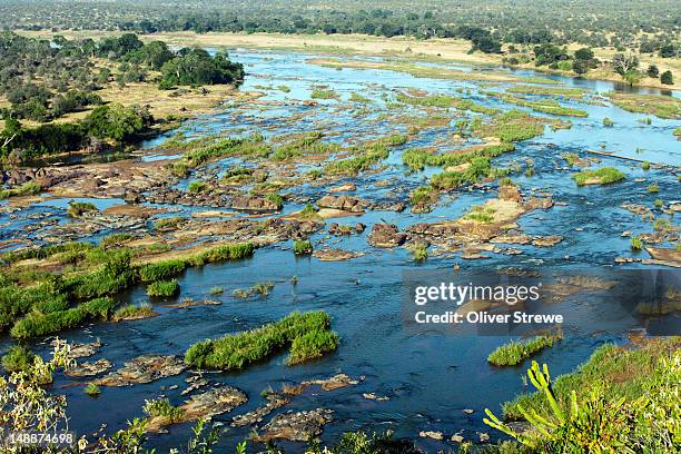 river seen from olifants camp.. - limpopo province stock pictures, royalty-free photos & images