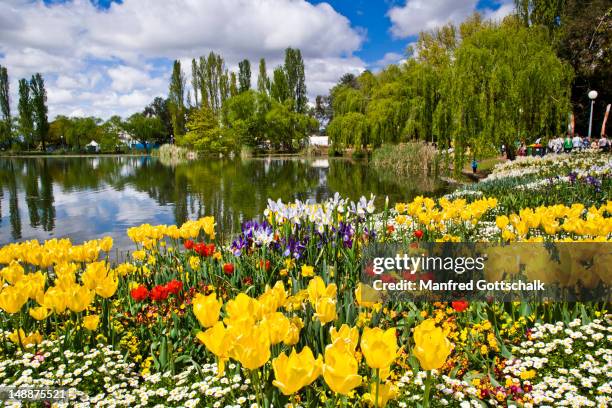 Canberra Spring 266 Floriade Canberra Stock Photos, High-Res Pictures, and Images ...