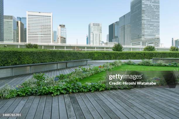 roof top garden in spring - symbiotic relationship stock pictures, royalty-free photos & images