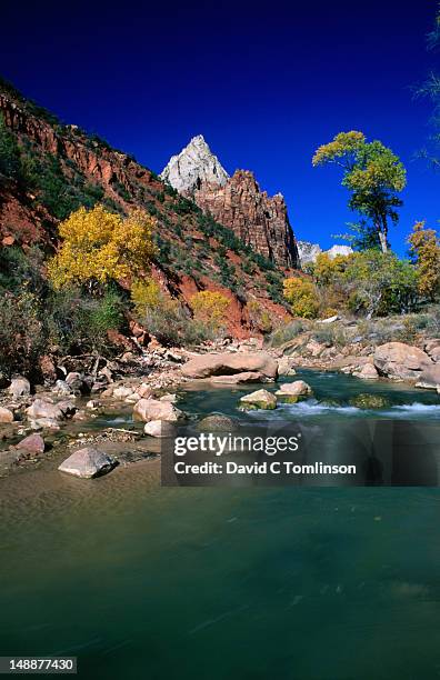 mount moroni and virgin river in autumn. - river virgin stock pictures, royalty-free photos & images