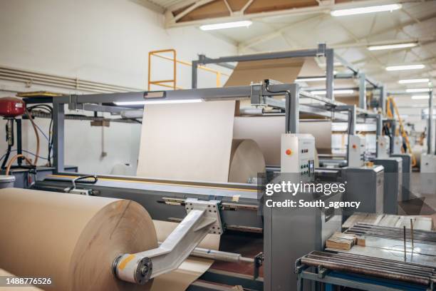 paper making process - paper mill stock pictures, royalty-free photos & images