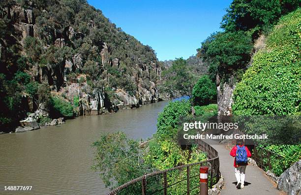 cataract gorge walking track. - launceston australia stock pictures, royalty-free photos & images