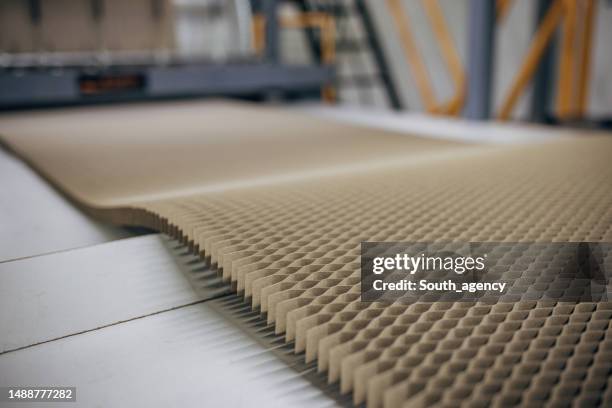 Papermaking Cardboard Making 1,102 Paper Making Craft Stock Photos, High-Res Pictures, and Images ...