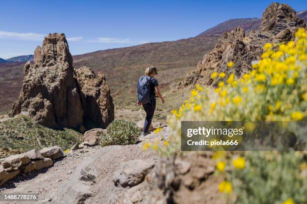 frau beim wandern im teide-nationalpark von teneriffa, kanarische inseln - pico de teide stock-fotos und bilder