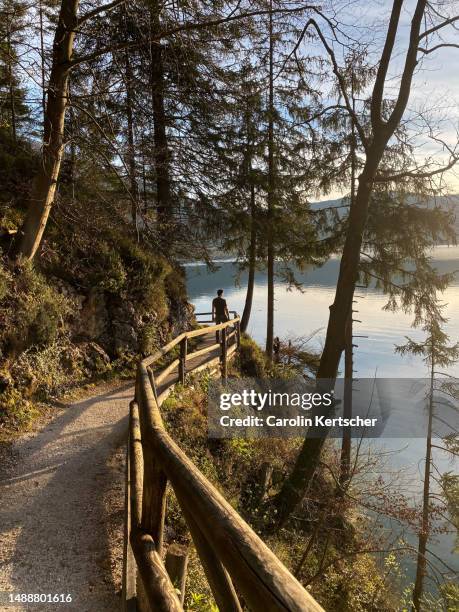 person at lake wolfgangsee | austria - salzburg stock pictures, royalty-free photos & images