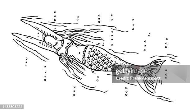 bildbanksillustrationer, clip art samt tecknat material och ikoner med mermaid woman drawing - diving flipper