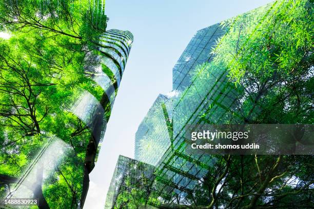composite financial buildings and lush green trees - banker doppelbelichtung stock-fotos und bilder