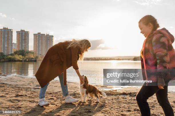 unrecognizable woman bending over little dog petting it while pre-adolescent girl walking by on sandy river shore - pre adolescent child bildbanksfoton och bilder