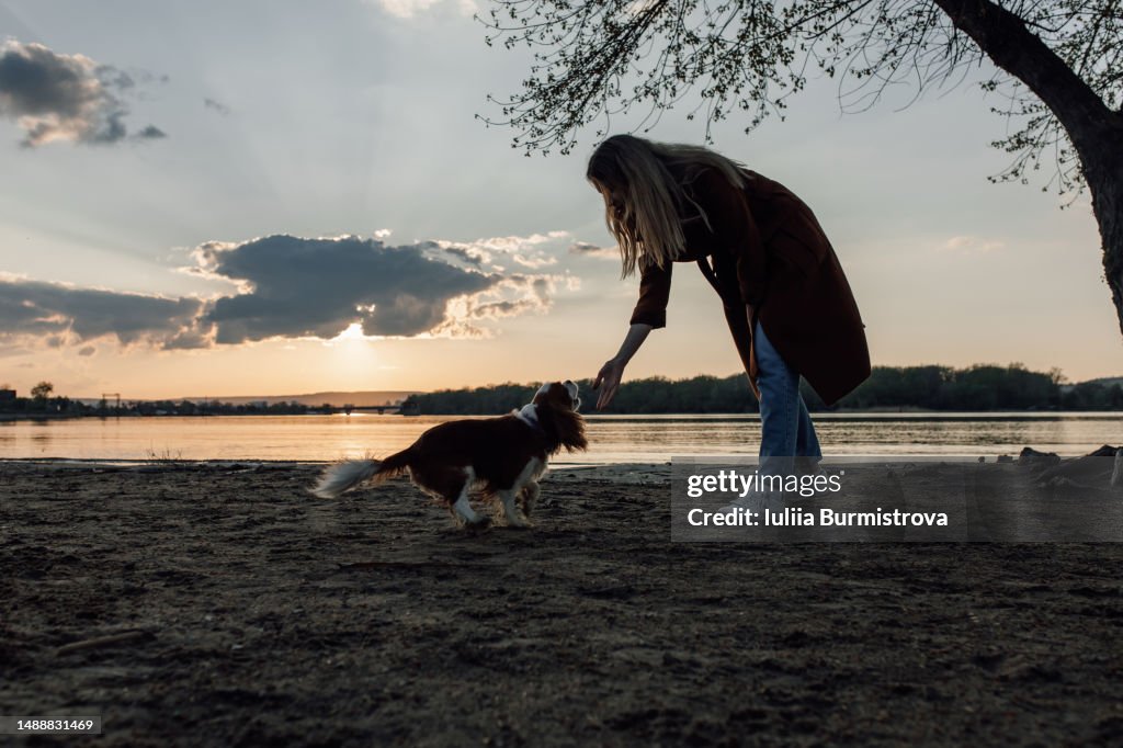Young woman playing with little dog in early morning sunlight on sandy beach