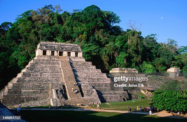 visitors to the mayan site at palenque climbing the stairs of the temple of inscriptions (templo de las inscripciones). - palenque stock-fotos und bilder