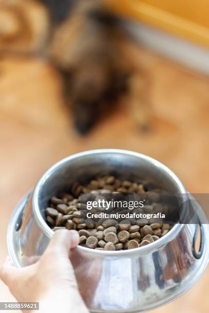 close-up of a feeder with dog food. in the background a german shepherd dog waiting - dog bowl stock pictures, royalty-free photos & images