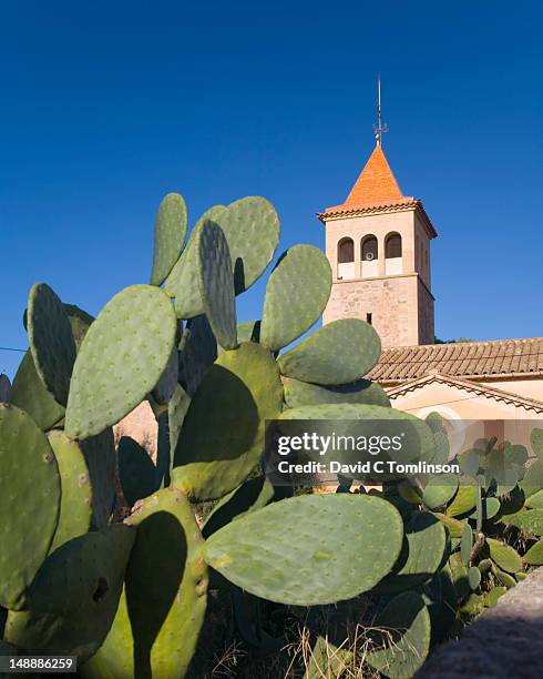 prickly pear cactus (opuntia) and tower of the village church. - majorque photos et images de collection