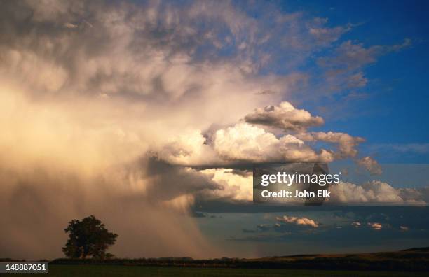 thunderstorm over western nebraska. - western storm stock pictures, royalty-free photos & images