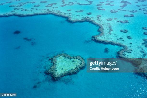 aerial of heart-shaped reef at hardy reef, near whitsunday islands. - great barrier reef australia ストックフォトと画像