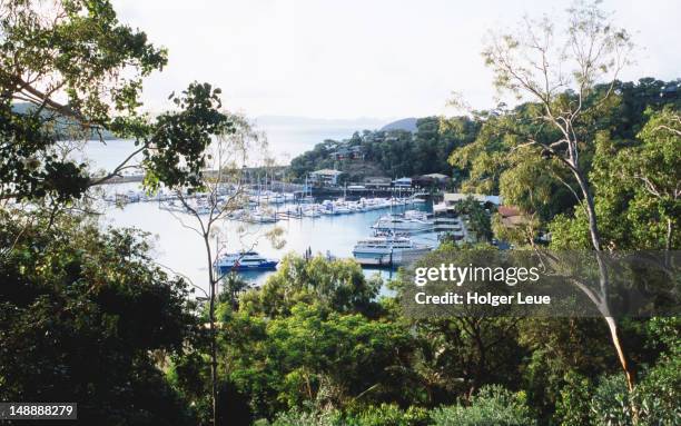 overhead of hamilton island marina. - whitsunday island stock pictures, royalty-free photos & images