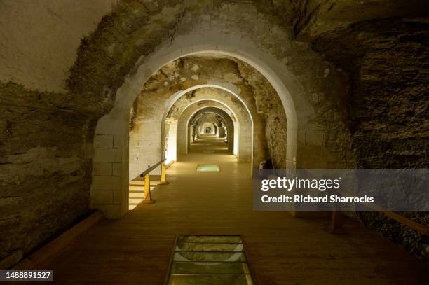 serapeum of saqqara, cairo, egypt - saqqara stock pictures, royalty-free photos & images
