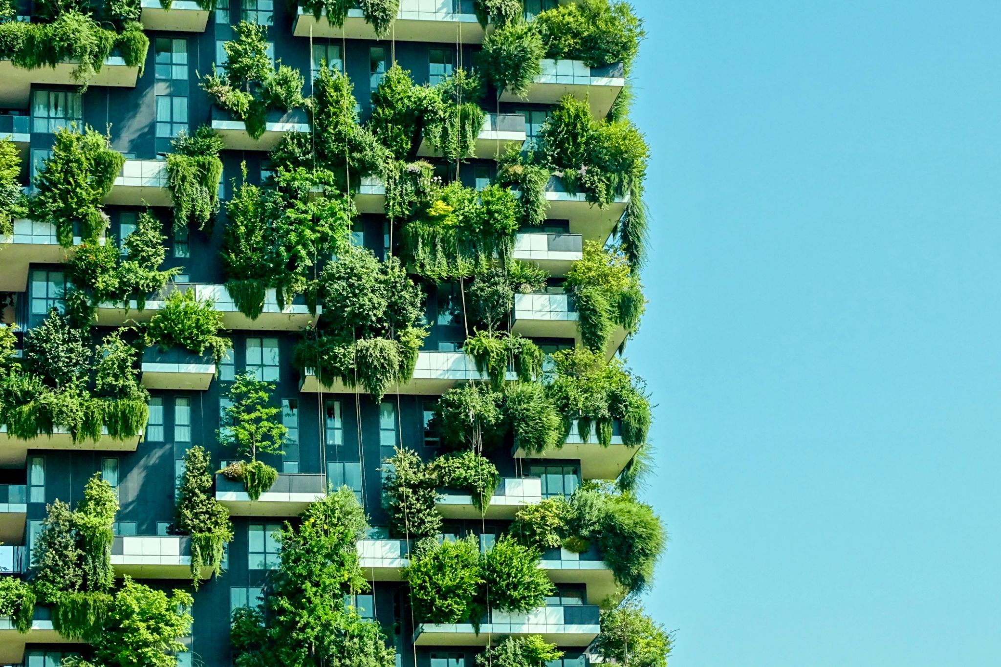 green wall architecture