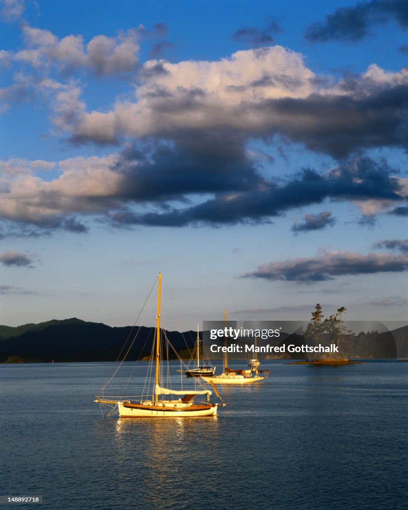 Boats in Opua Harbour.