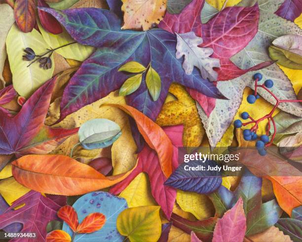 ilustraciones, imágenes clip art, dibujos animados e iconos de stock de hojas frías - septiembre