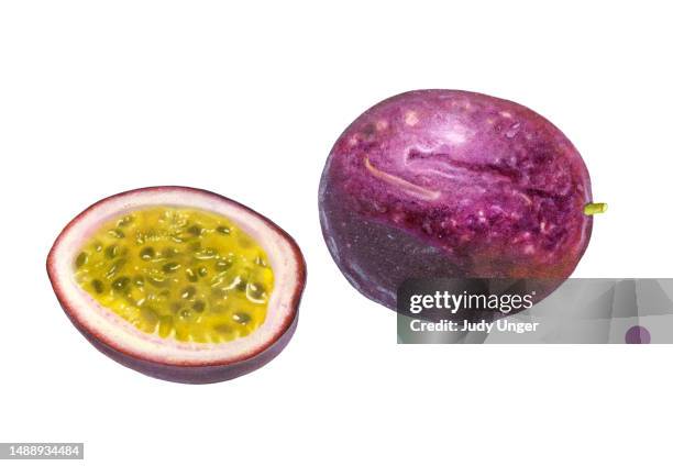 passion fruit whole and half - fruit flesh stock illustrations