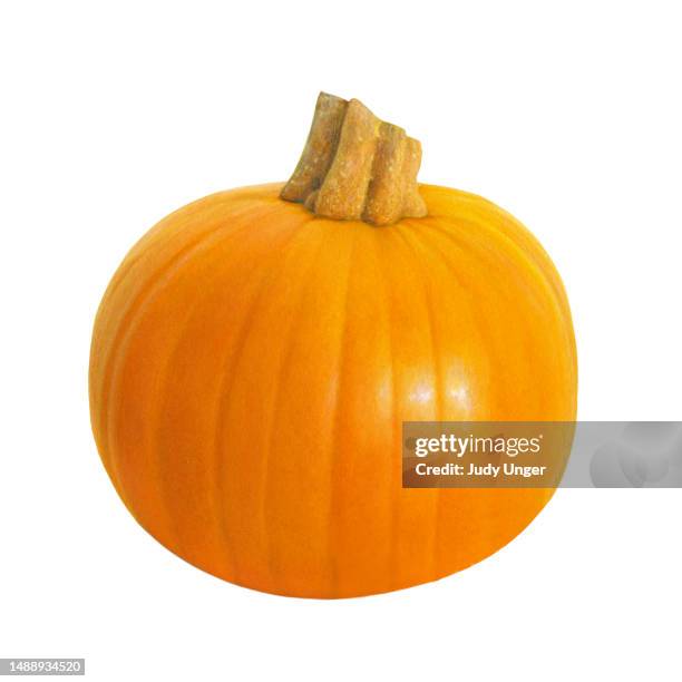 pumpkin whole - orange cloves stock illustrations