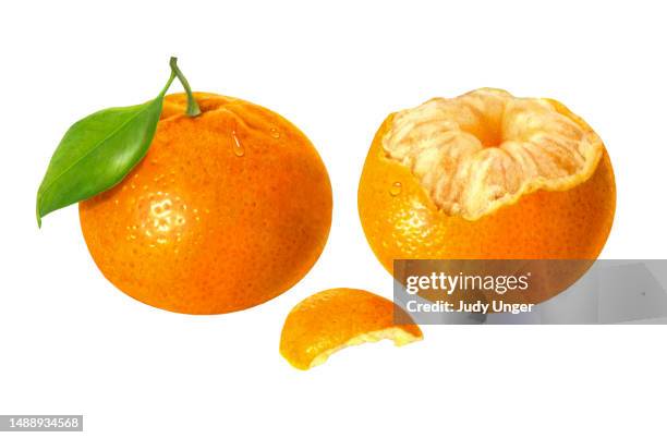 tangerine whole and half - tangerine stock illustrations