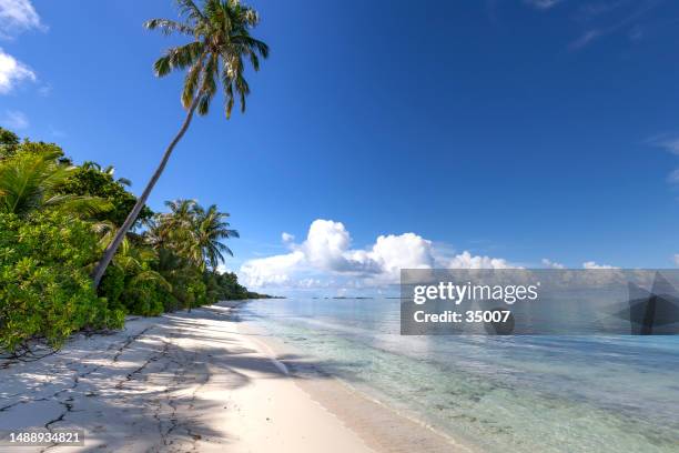 maldives dreams - ari stock pictures, royalty-free photos & images