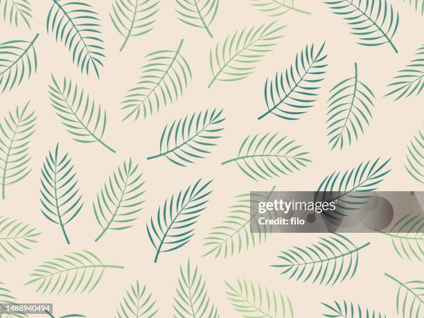 seamless palm frond branch background pattern - palm tree texture stock illustrations