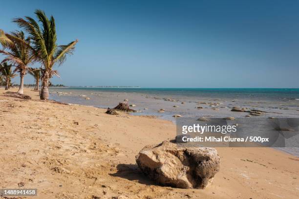 scenic view of beach against clear sky,saudi arabia - saudi arabia beach stock pictures, royalty-free photos & images