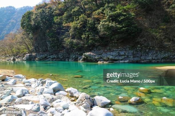 scenic view of lake by trees,fukui,japan - préfecture de fukui photos et images de collection